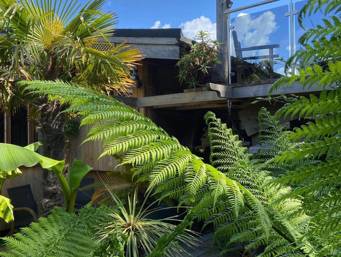 Jungle Cabin Martin Mill Esterno foto
