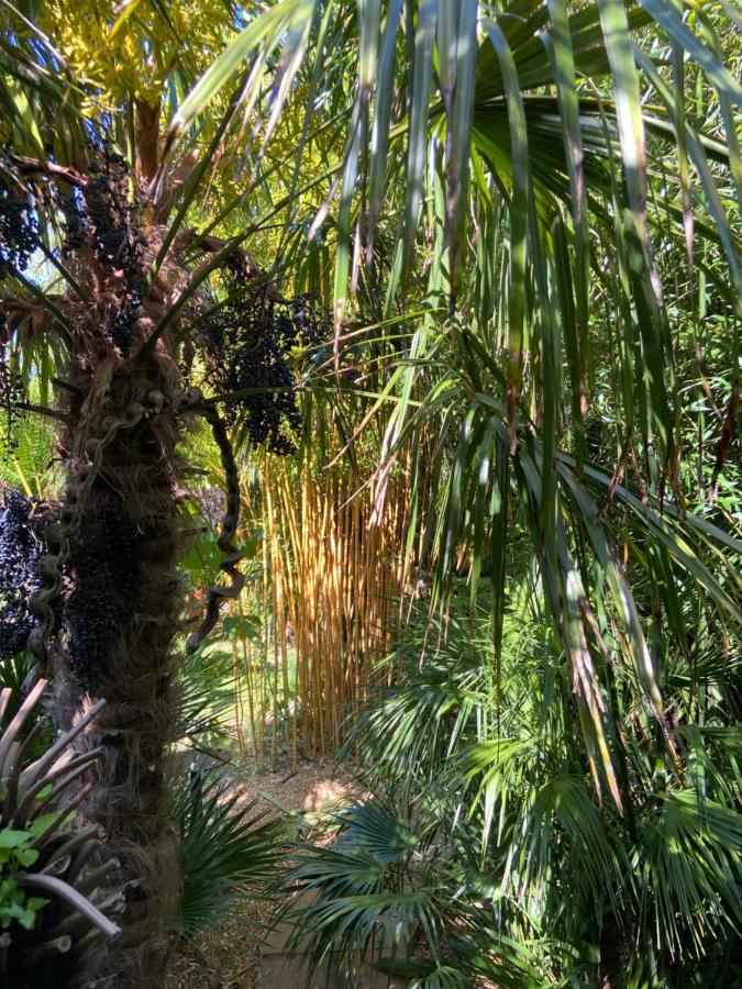 Jungle Cabin Martin Mill Esterno foto