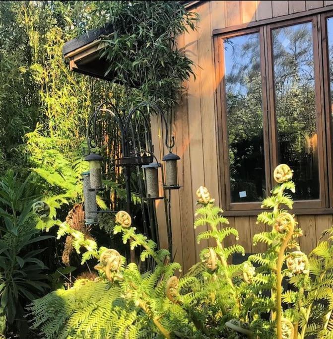 Jungle Cabin Martin Mill Esterno foto