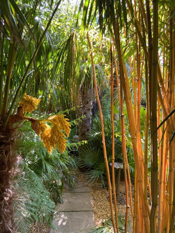 Jungle Cabin Martin Mill Esterno foto