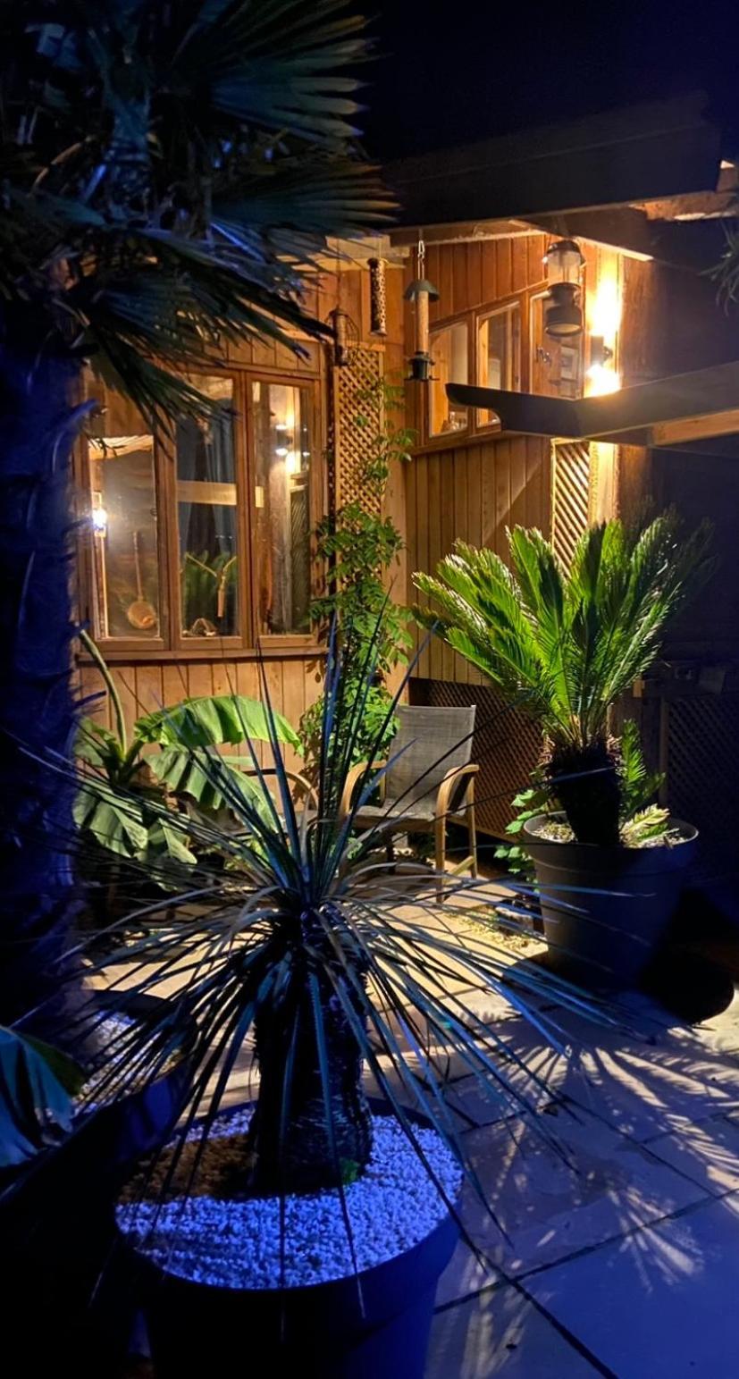Jungle Cabin Martin Mill Esterno foto