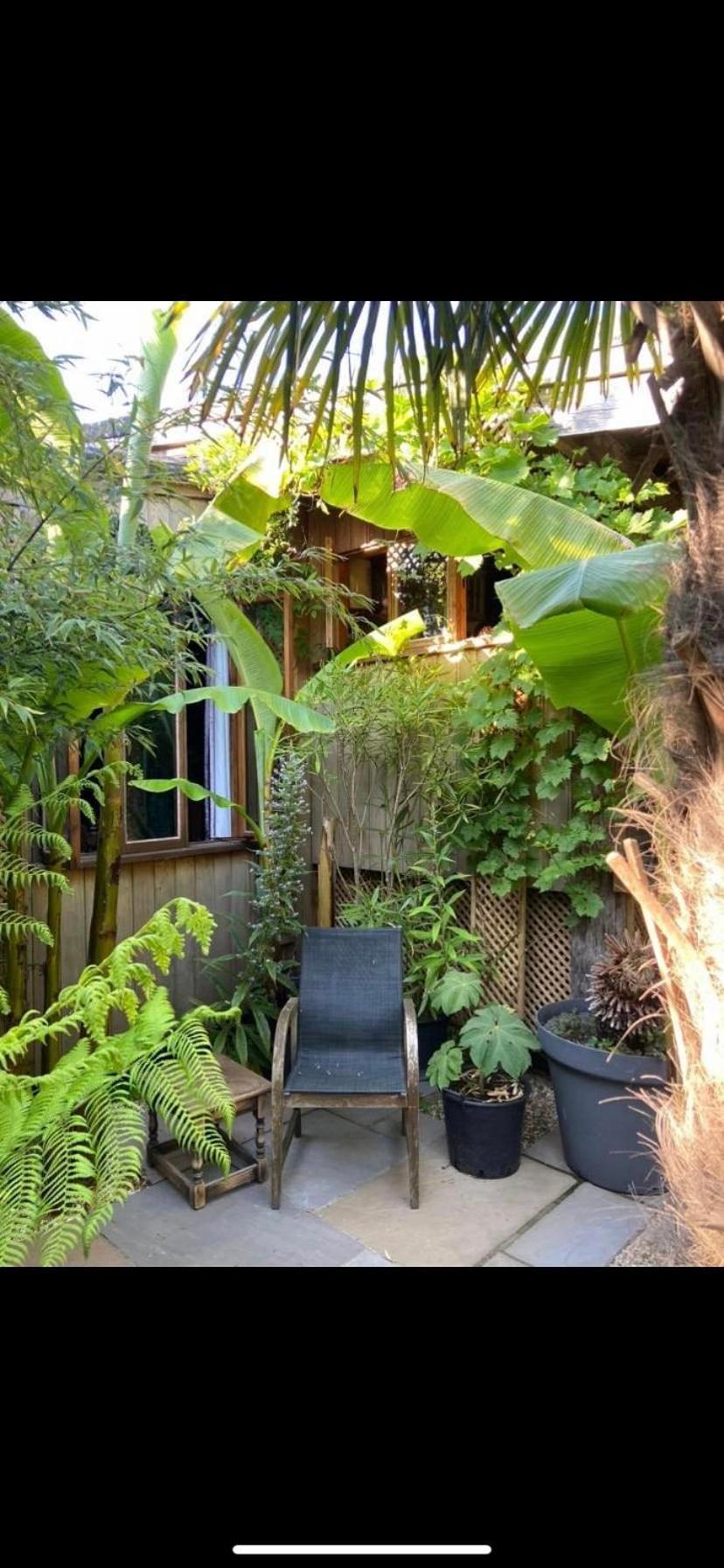 Jungle Cabin Martin Mill Esterno foto